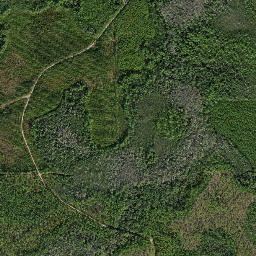 Conners Ford Florida High Resolution Satellite Map