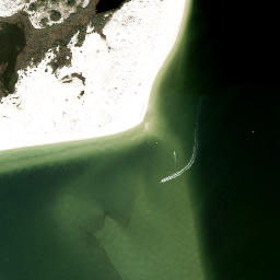 Fort McRee Florida High Resolution Satellite Map