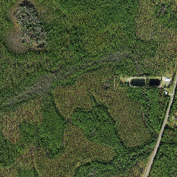 Clio Florida High Resolution Satellite Map