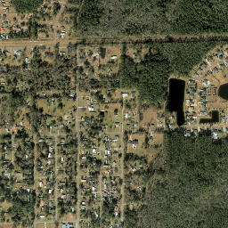 Whitehouse Florida High Resolution Satellite Map