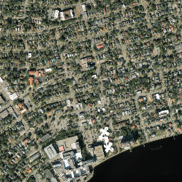 Riverside Florida High Resolution Satellite Map