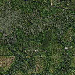 Fawn Ford Florida High Resolution Satellite Map