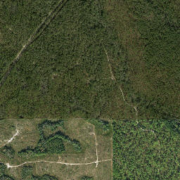 Ward Florida High Resolution Satellite Map