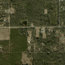 Springville Florida High Resolution Satellite Map