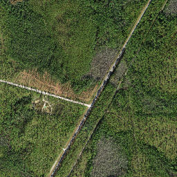 Liberty Florida High Resolution Satellite Map