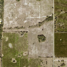 Starr Florida High Resolution Satellite Map