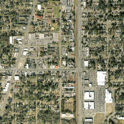Lake Shore Florida High Resolution Satellite Map