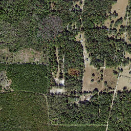 Fanlew Florida High Resolution Satellite Map