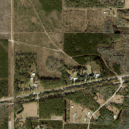 Pine Top Florida High Resolution Satellite Map