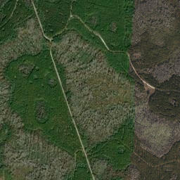 Covington Florida High Resolution Satellite Map