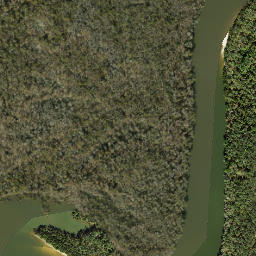 Gunn Landing Florida High Resolution Satellite Map