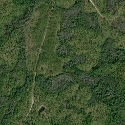 Liberty County map(satellite map)