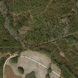 LaBuena Florida High Resolution Satellite Map