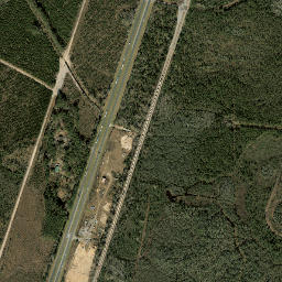 Fiftone Florida High Resolution Satellite Map