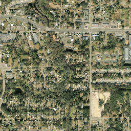 Wesconnett Florida High Resolution Satellite Map