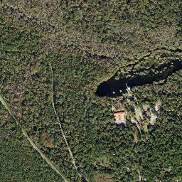 Wakulla Springs Florida High Resolution Satellite Map