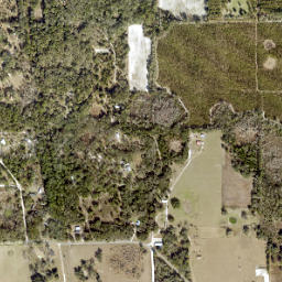 Padlock Florida High Resolution Satellite Map