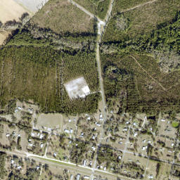 Wellborn map(satellite map)