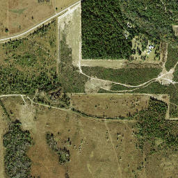 Orange Florida High Resolution Satellite Map