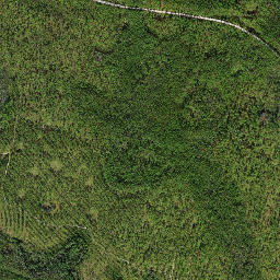 Jensen Place Florida High Resolution Satellite Map