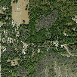126-190 Whiddon Lake Road, Apalachicola National Forest High Resolution Satellite Map