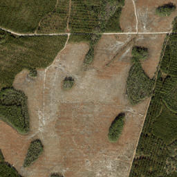 Bessent Florida High Resolution Satellite Map