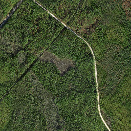 Vilas Florida High Resolution Satellite Map