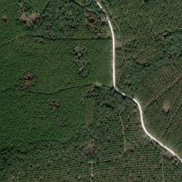 Cabbage Grove Florida High Resolution Satellite Map