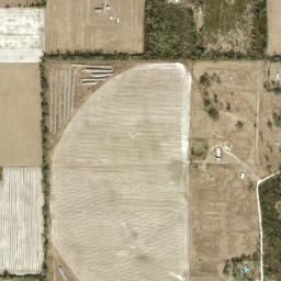Mayo Junction Florida High Resolution Satellite Map