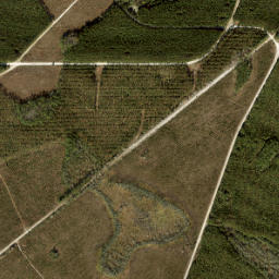 Steckert Florida High Resolution Satellite Map