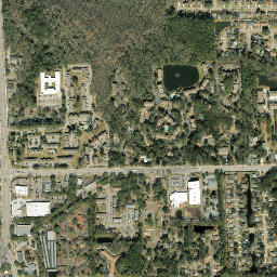 Goodbys Florida High Resolution Satellite Map