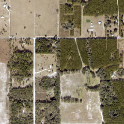 Suwannee County map(satellite map)