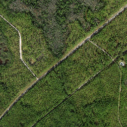 Central City Florida High Resolution Satellite Map