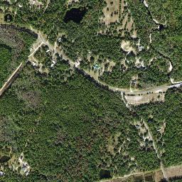 Arran Florida High Resolution Satellite Map