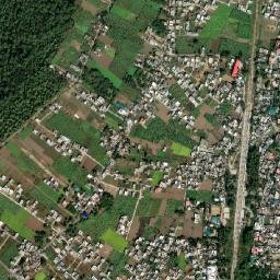 Doiwala map(satellite map)