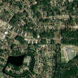 Roman Forest map(satellite map)