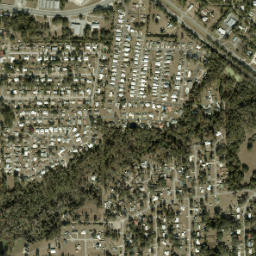 Newco Florida High Resolution Satellite Map