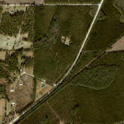 Manning Florida High Resolution Satellite Map