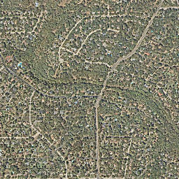 Shady Hollow map(satellite map)