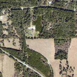 Pine Mount Florida High Resolution Satellite Map