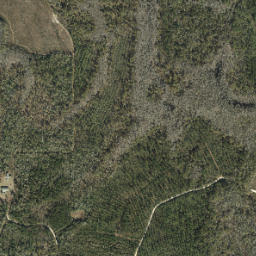 Iola Florida High Resolution Satellite Map