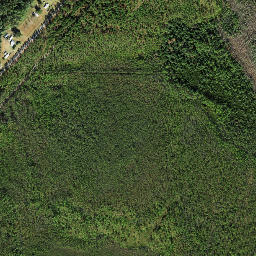 Wilma Florida High Resolution Satellite Map