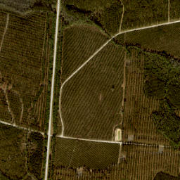 Sapp Florida High Resolution Satellite Map