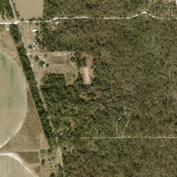 Dell Florida High Resolution Satellite Map