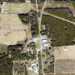 McAlpin Florida High Resolution Satellite Map