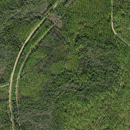 Kern Florida High Resolution Satellite Map