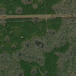 Waylonzo Florida High Resolution Satellite Map