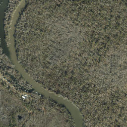 Lake Grove Florida High Resolution Satellite Map