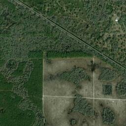 Roach Florida High Resolution Satellite Map