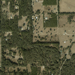 Bass Florida High Resolution Satellite Map